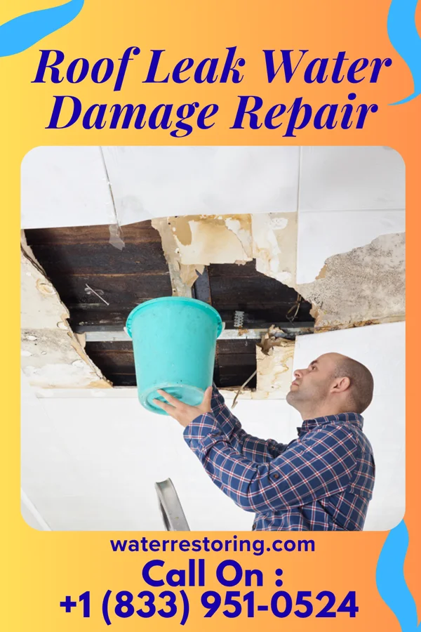 Roof Leak Water Damage Repair in Cedar Mills, MN