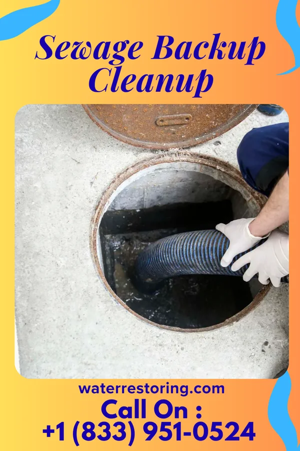 Sewage Backup Cleanup in Cedar Mills, MN